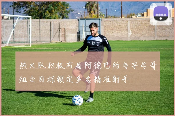 热火队积极布局阿德巴约与字母哥组合目标锁定多名精准射手